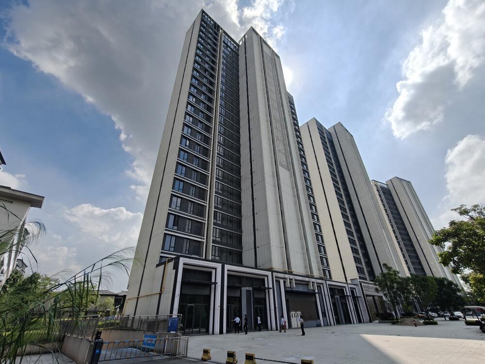 华体会入口-东莞市一个小区487套房产打包拍卖,被人底价1.124亿元竞得